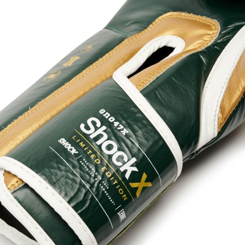 Боксерські рукавички Leone Shock X Green 10 ун.