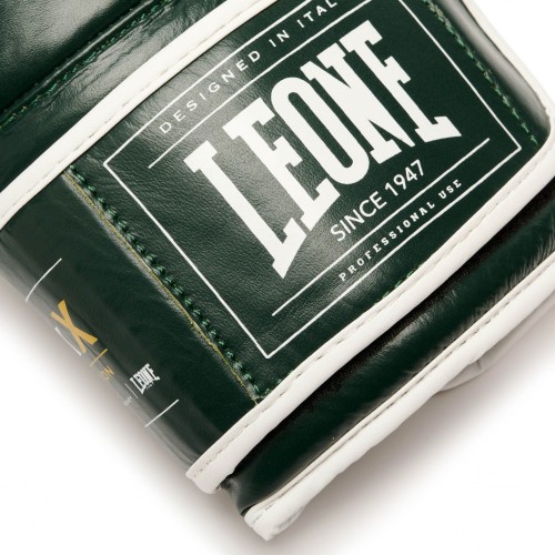 Боксерські рукавички Leone Shock X Green 10 ун.