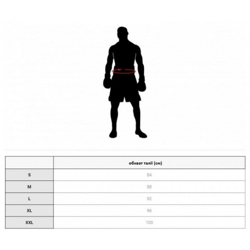 Шорты боксерские Leone Boxing Black M Шорты боксерские Leone Boxing Black M