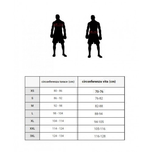 Спортивный костюм Leone Premium Green S