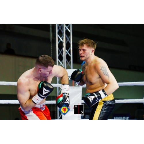 Боксерські рукавички V`Noks Mex Pro 8 ун. Боксерські рукавички V`Noks Mex Pro 8 ун.